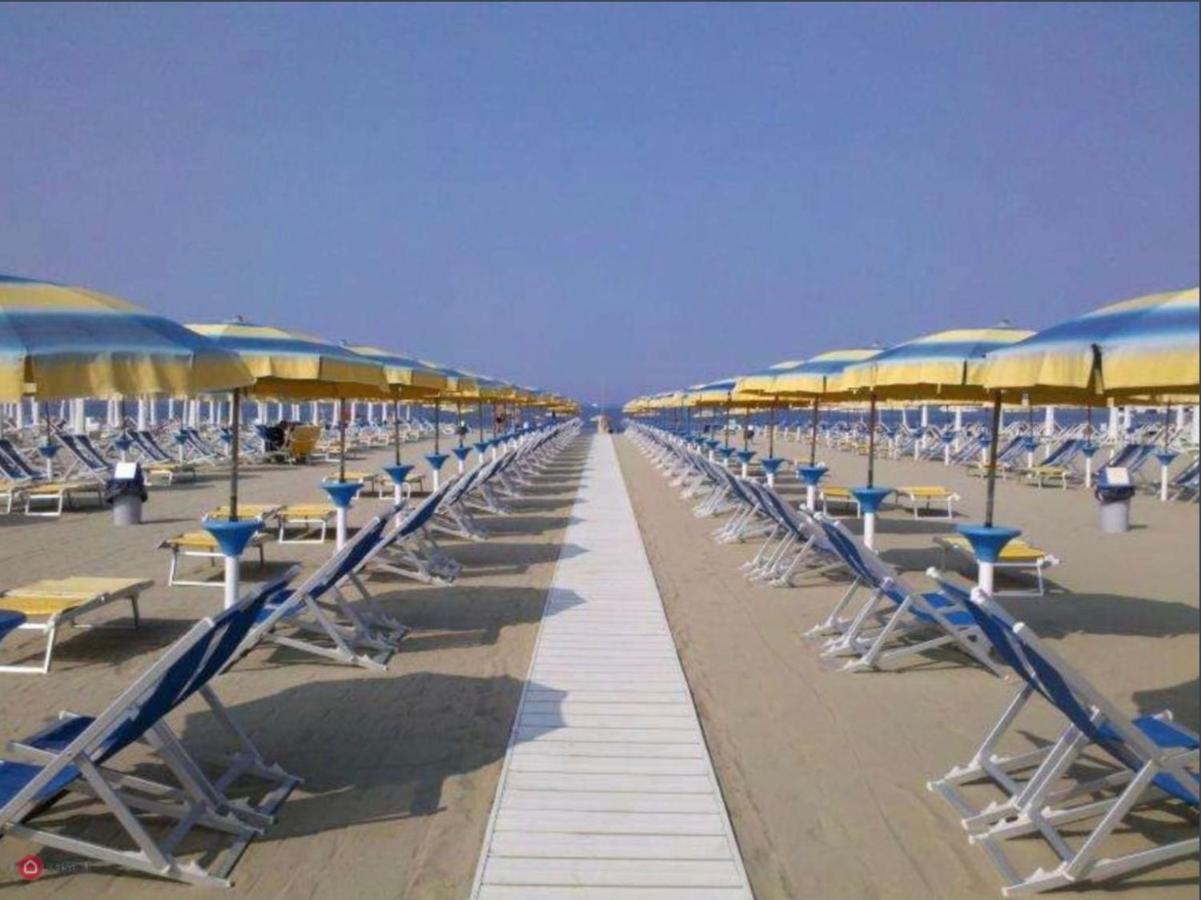 La Conchiglia A Marina Apartment มารีนาดีคาร์รารา ภายนอก รูปภาพ