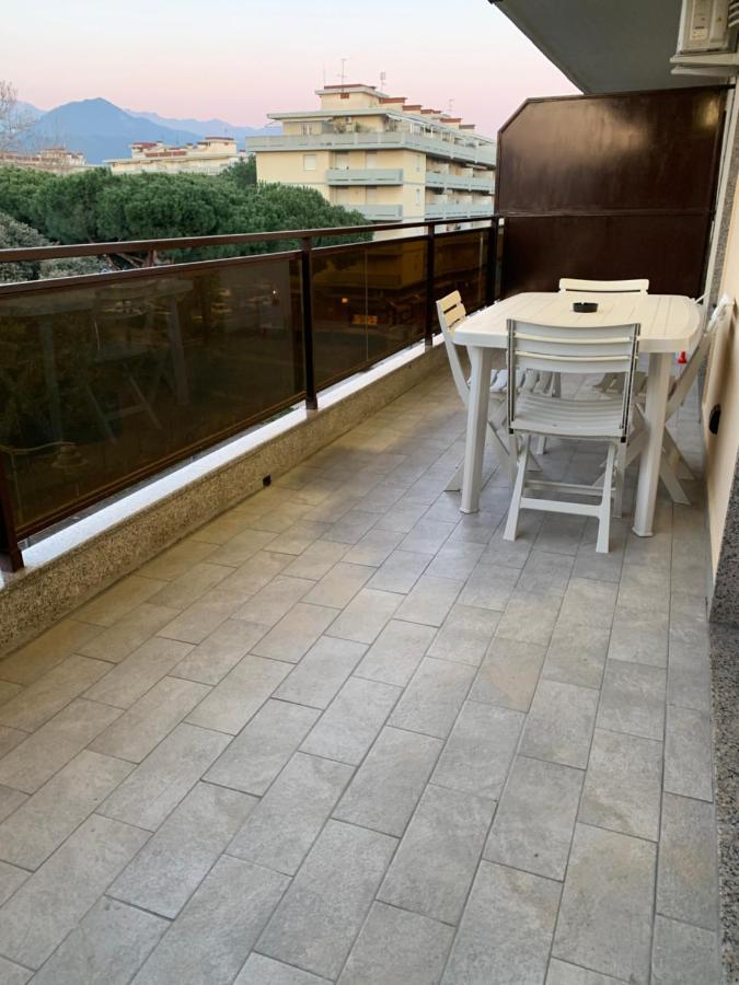 La Conchiglia A Marina Apartment มารีนาดีคาร์รารา ภายนอก รูปภาพ
